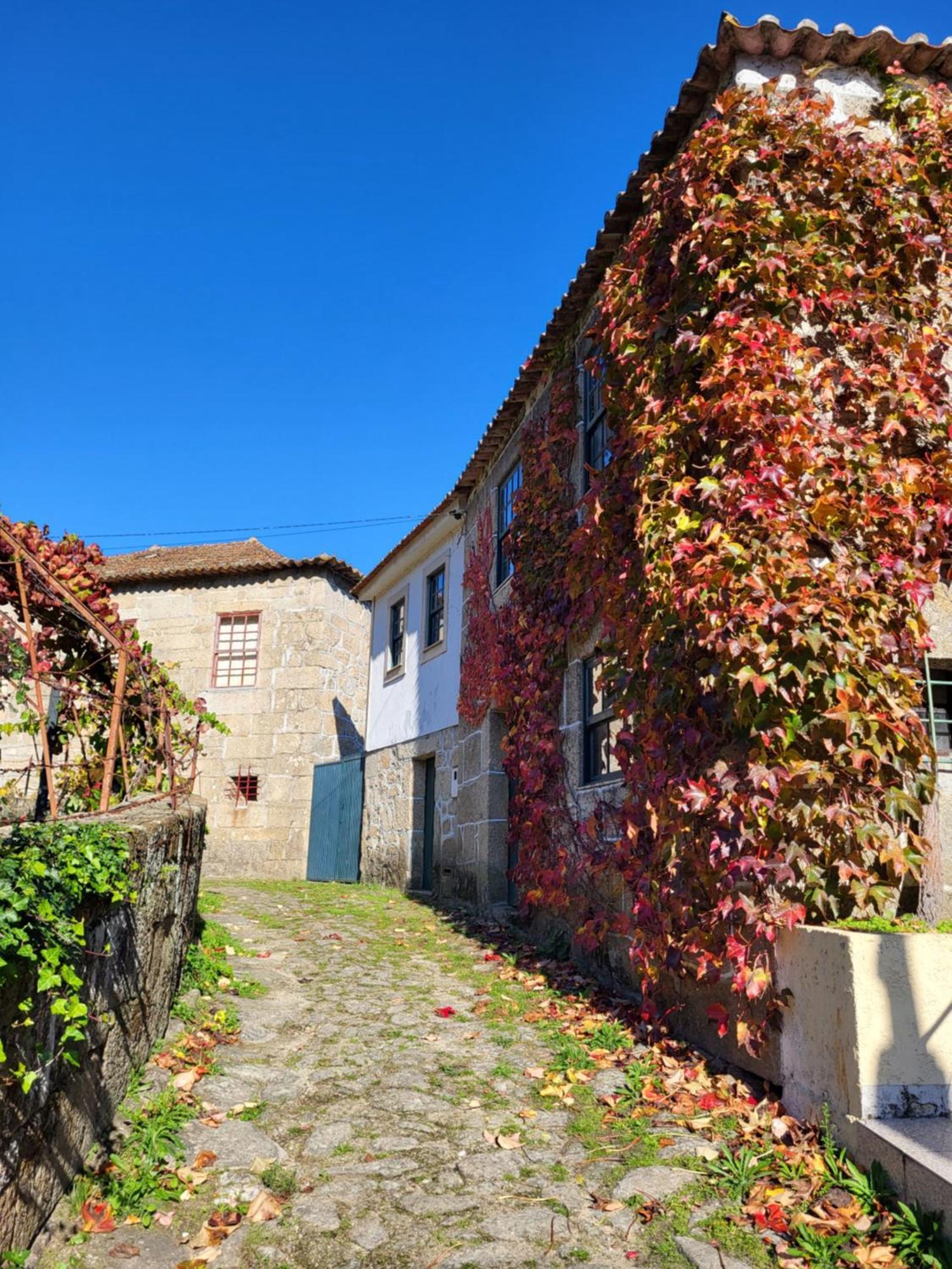 Douro Studio Cinfães Exterior foto